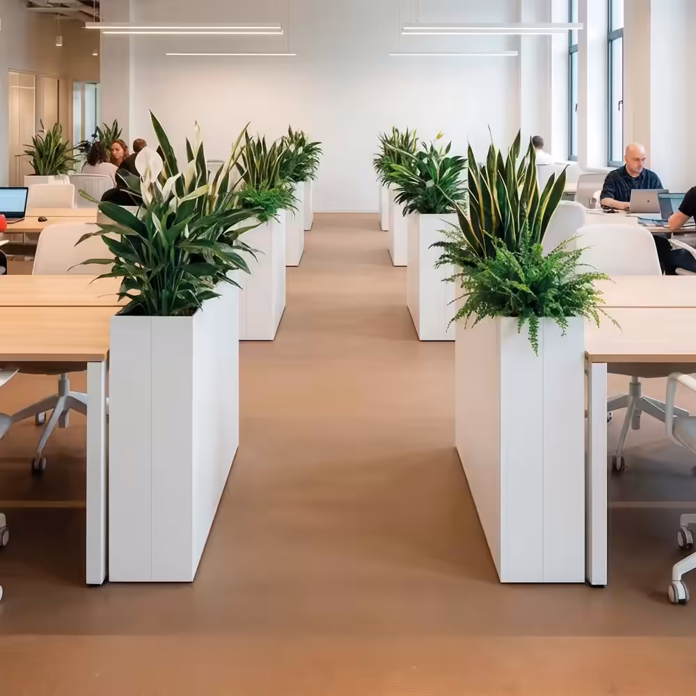Design Collection planters
