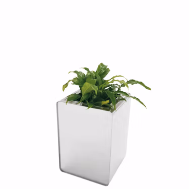 Prisma planters