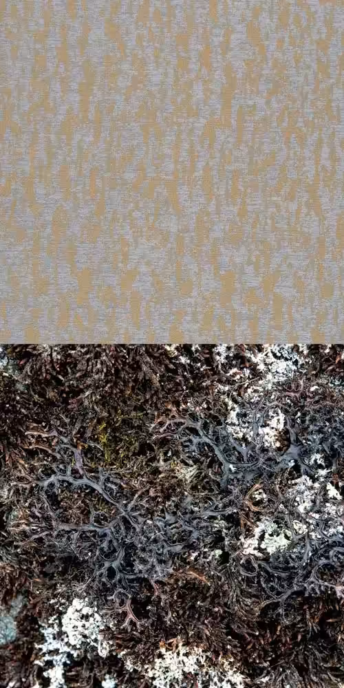 Fiber 14 Biosphere