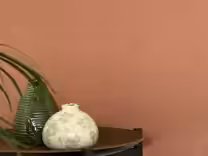Brixton Pet HD