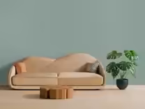 Brixton Pet HD