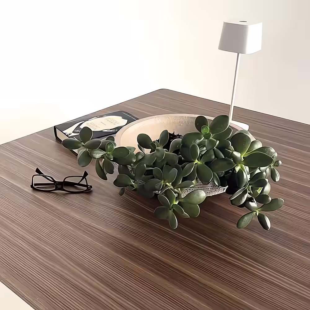 Pegaso wood